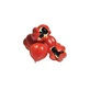 Guarana in 100 g gerösteten Samen