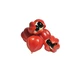 Guarana in 100 g geroosterde zaden