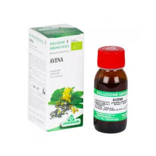 Avena Sativa 3 Muttertinktur 50ml