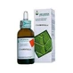 Chlorophyll Hydroalkoholische Lösung 50 Ml