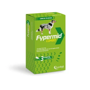 FYPERMID COMBO*3PIP 134+120.6