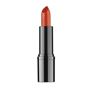 DDP PROFESSIONAL LIPSTICK 13