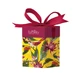 Estuche de Navidad Euphidra Golden Day para el bienestar facial