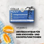 CollaMouv Original Collagen Drinkshot 14x25ml, BHW Bayerische Heilmittel