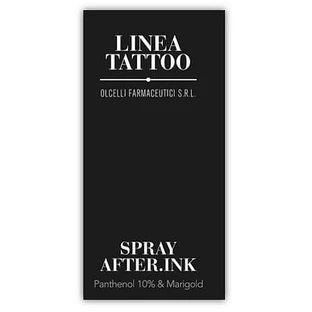 After Ink Spray 100 Ml