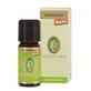 ROSEMARY OE 5ML
