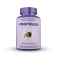 Propolis30 60 Capsules 27 Gram