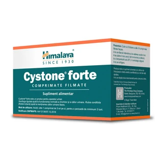 Cystone Forte, 60 filmomhulde tabletten, Himalaya