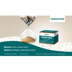 Cystone Forte, 60 filmomhulde tabletten, Himalaya