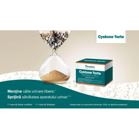 Cystone Forte, 60 filmomhulde tabletten, Himalaya