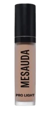 PRO LIGHT CONCEALER W60