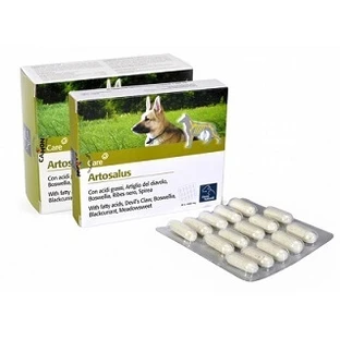 ARTOSALUS HORME NAT 60CPR