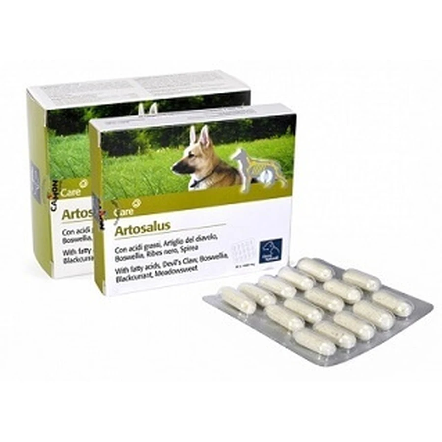 ARTOSALUS HORME NAT 60CPR
