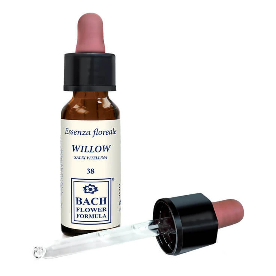 Saule Original 10ml Gouttes