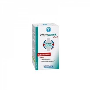 ERGYCARTIL FORTE 15 SACHETS