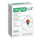 Cognis Up 10 Zakjes