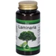 Laminaria 90 Capsules 600 Mg