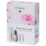 Dr. Hauschka Complete Face Ritual Kit for Dry Skin
