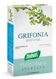 Grifonia 40cps