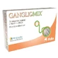 Gangliomix 30 Tabletten