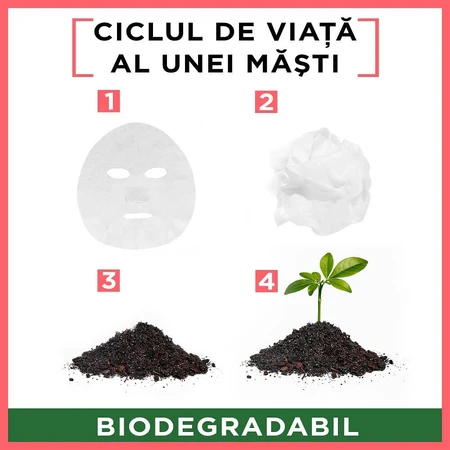 Skin Naturals Mascarilla Probiótica Enriquecida 2 Millones de Fracciones Probióticas, 22 g, Garnier