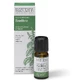 PURAE OE BASILIKUMBLÄTTER 10ML
