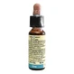 Elm 10ml By Leo