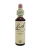 Centro Bach Ess Larch 20ml