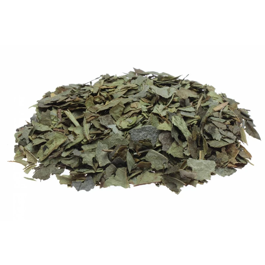 Boldo de Chile hojas para tisana 100 g