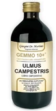 OLMO CAMPESTRE 500ML ANALCOLICO GEMMO 10+ GIORGINI