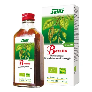 ZUMO DE ABEDUL S/ALC 200ML