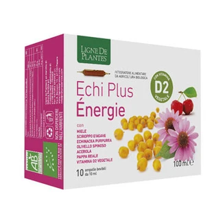 ECHI PLUS ENERGIE 10 BULE