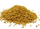 Bockshornklee in ganzen Trigonella-Samen 100 g