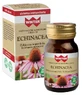 ECHINACEA ZIMOWA 30CPS VEG