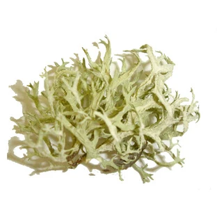 Quercus moss in herbal tea thallus 100 g