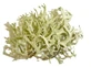 Quercus-Moos in Kräutertee Thallus 100 g