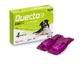 Duecto*4pip 10-20kg Dogs
