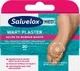 Salvelox