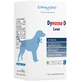 DIMMUNE D MEDIUM Chiens*20Poitrine.