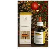 GINGER 50ML STV<