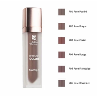 Defence Color MatLaque 704