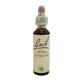 Bach Centrum Ess Clematis 20ml