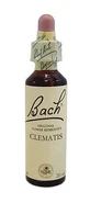 Centro de Bach Ess Clematis 20ml