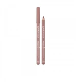 BEAUTIFUL TODAY LIPLINER LIPPOTLOOD 53