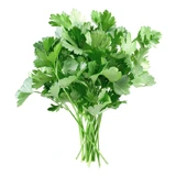 Parsley Leaves Cut Herbal Tea 100 Gr