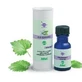 TEA TREE OLIE ESS BIO 15ML