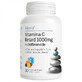 Vitamin C Retard with bioflavonoids, 1000 mg, 30 capsules, Alevia