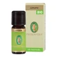 BIO-ZITRONENESSENZÖL 10ML