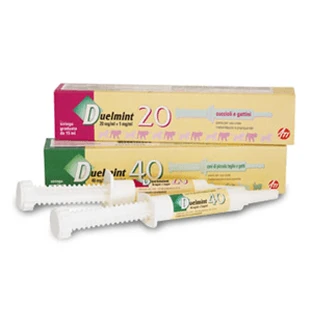Duelmint 40*grün Sir 15ml