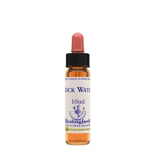 STEINWASSER ESS 10ML INGL KRÄUTER